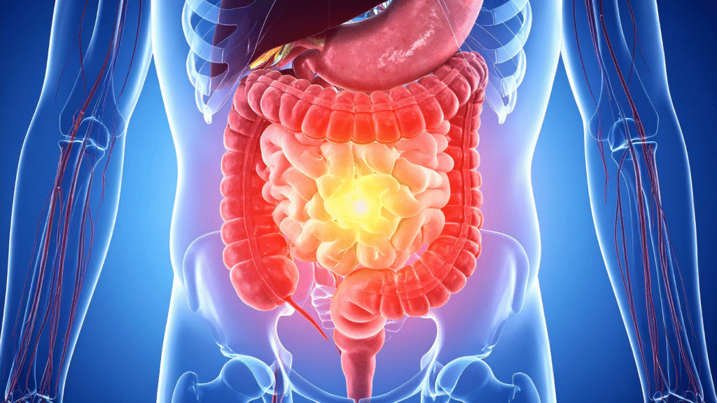 Eixo intestino-cérebro | Dra. Melissa Romero
