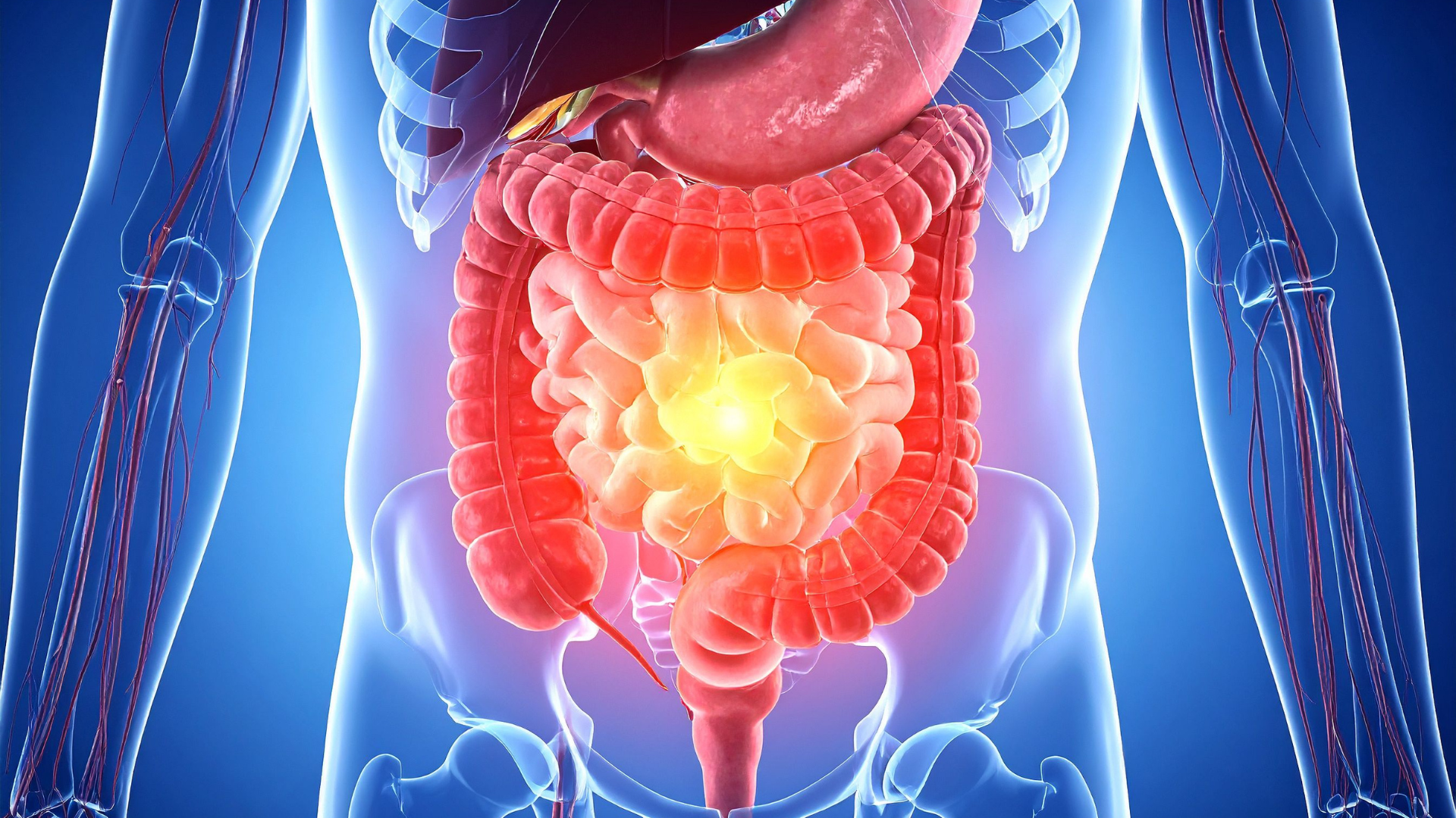Eixo intestino-cérebro | Dra. Melissa Romero